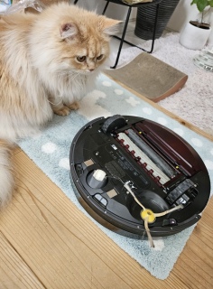 Roomba