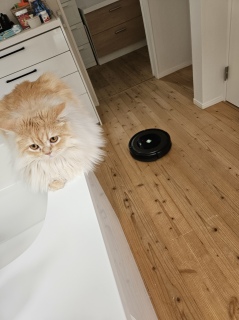 Roomba