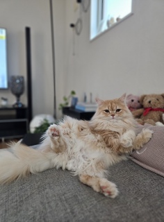 ͂[