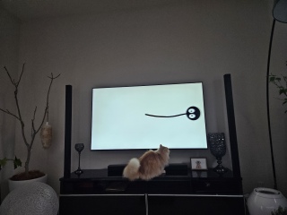 ɂ[