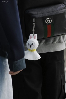GUCCIq̎̐