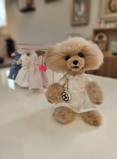 Teddy P