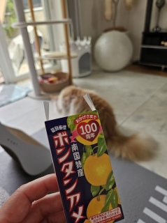 {^A