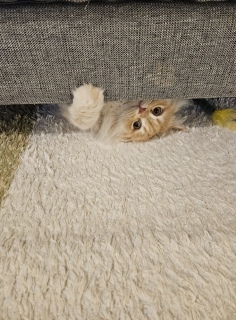 ͂