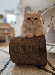 ͂[