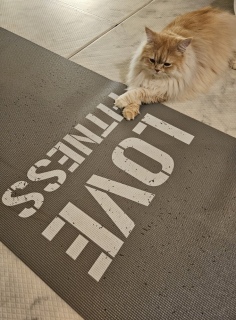 ƂԂɖ