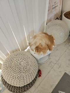 Ă̒ʒuŁAQn߂