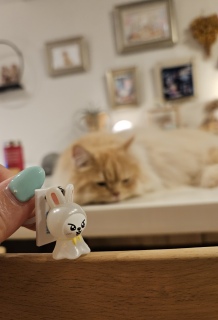 Oǂ