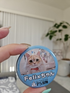͂