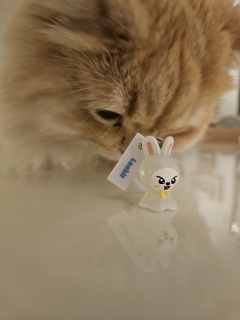 Ƃ[