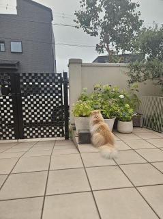 ͂