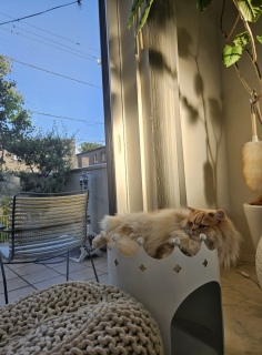 KĂ
