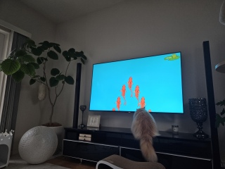 ͂
