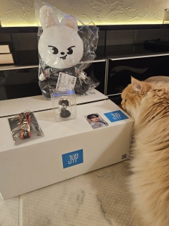 birthdayv[g͂