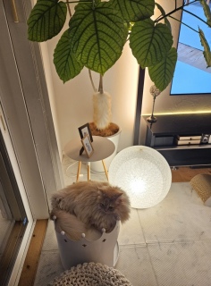 _[WȂ̂H