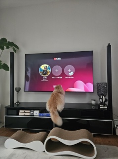 ߌ̈ꎞ