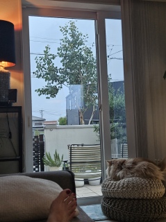 ^ÂɂȂĂ
