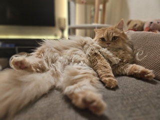 yȁ[