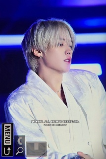 v`iVo[̐