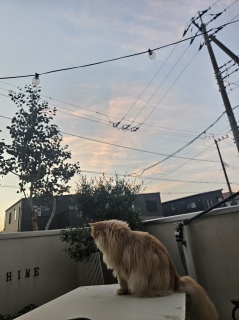 IŔGĂ̂ɂˁ[
