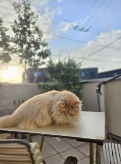 Ȃʁ[