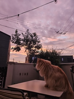 5:30̋