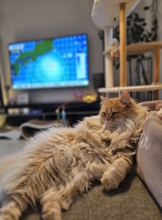 ^u[