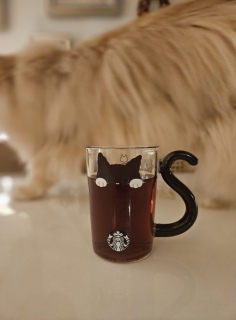 C{XeB[