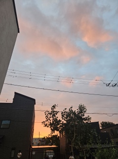 ͂