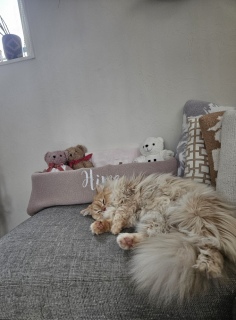 ȂĂ