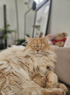 lɂ