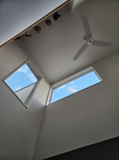 �񍐂����[�[�[�[�[