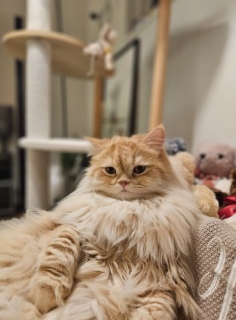 �������炳