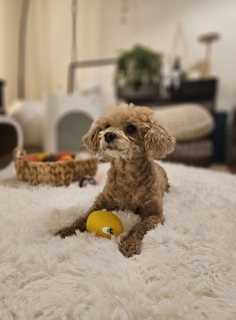 ���ז����Ă܁[��