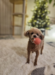 �u���u��������