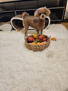 �I�т�������