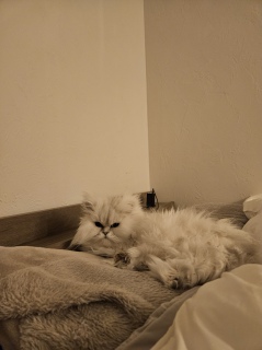 �G���}�����