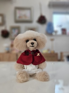 �u���b�V���O�^�C��