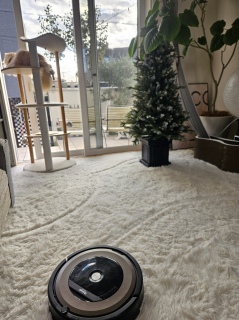 �|������