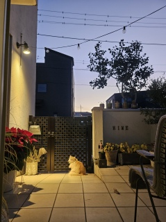 6:22�ɂ́A�������