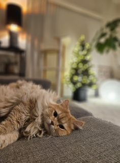 6���ʂ���