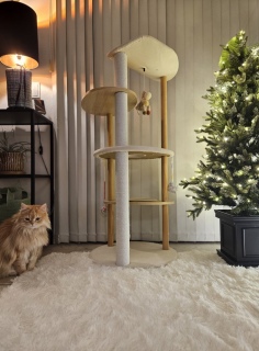 �j���[�j���[