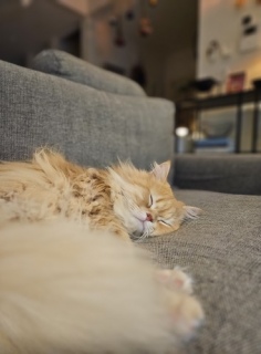 �O�ɏo������