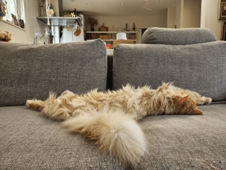 �����́A����ł�����