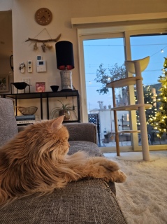 �����͉J�\��