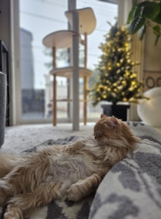 �S���S��