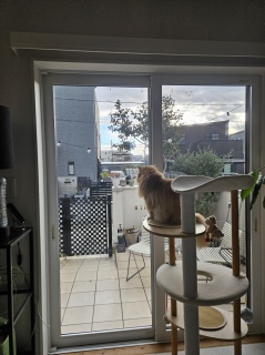 �e���X�͌��邾���̒j