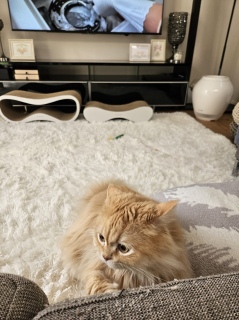 �\�t�@���K���K������j