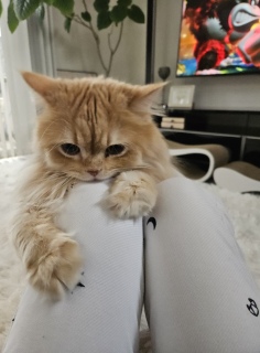 �}�}�A�s���Ȃ���