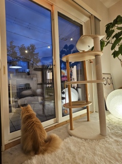 �e�ɂ��p�ɂ�